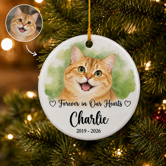 Personalized Pet Memorial Photo Ornament – Dog or Cat design example