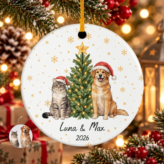 Personalized Dog and Cat Christmas Ornament with Names